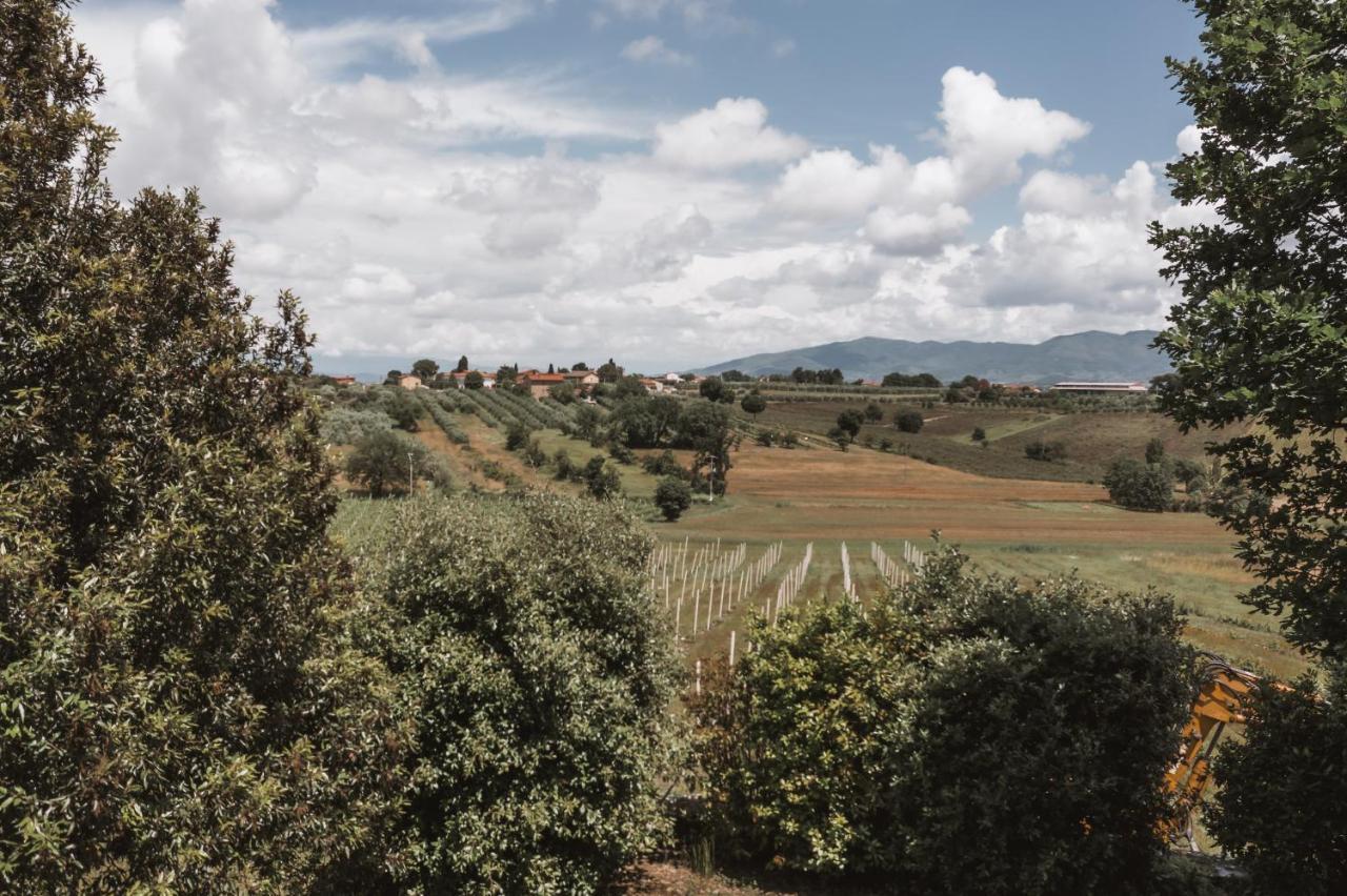 Вилла Agriturismo S.Angelo Фояно-делла-Кьяна Экстерьер фото